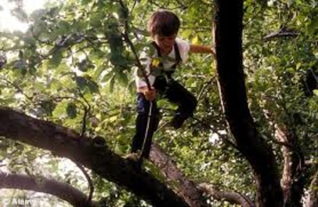 Child Climbing