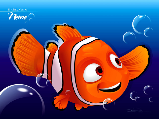 BUSCANDO A NEMO