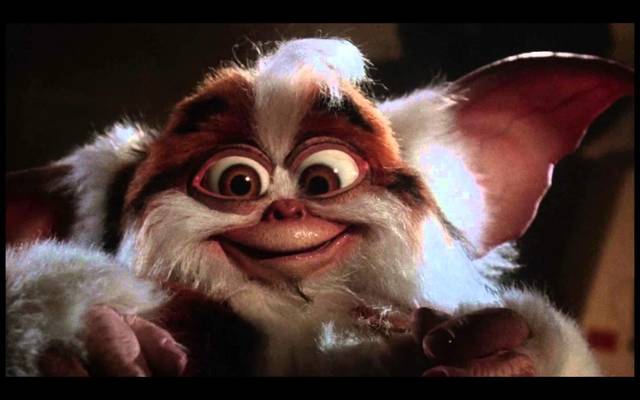 He wrote Gremlins