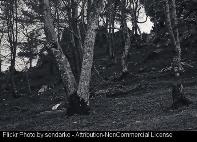 Prohibido defecar en Samos