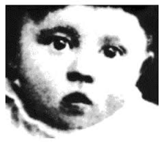 The Birth of Adolf Hitler