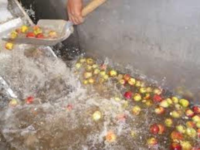 Se comenzó a producir agua de mesa y refrescos de fruta.