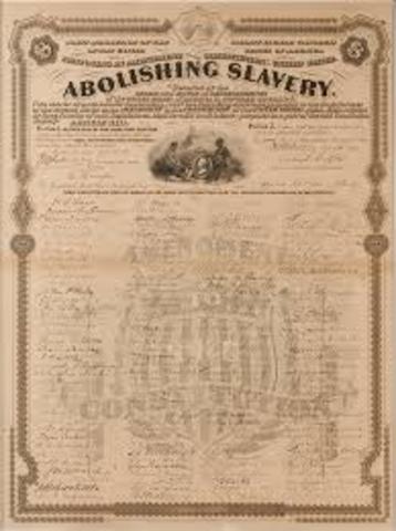 •	The Thirteenth Amendment