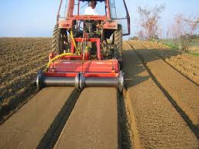 Preparació del terreny.