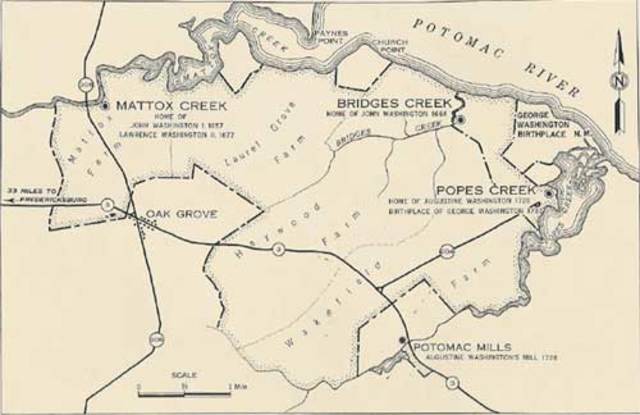 George Washington was born