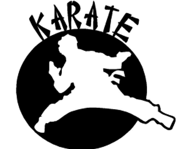 Started Karate class.