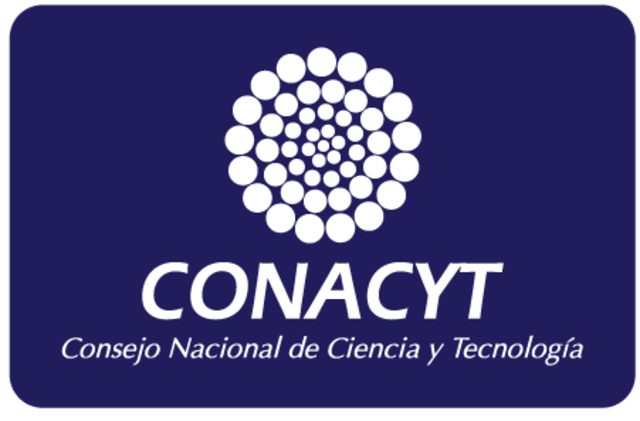 CONACyT establece el primer enlace a Internet vía Satelital