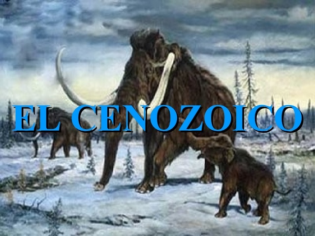 CENOZOICA