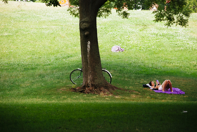 A közpark, a zöldterület jogi kategória (is).