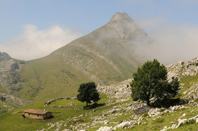 El fuego de Samos quedó controlado tras arrasar 440 hectáreas al pie de O Courel