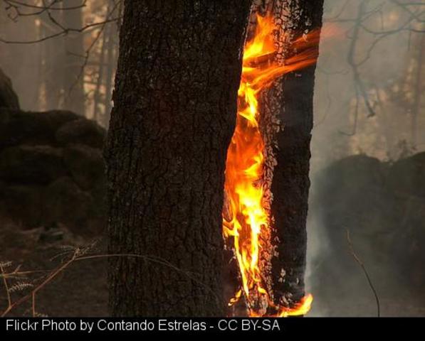 imputan a un hombre por causar un incendio forestal