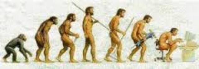 Evolução da internet