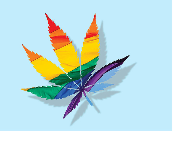 Legilazation of Gay Marriage and Marijuana