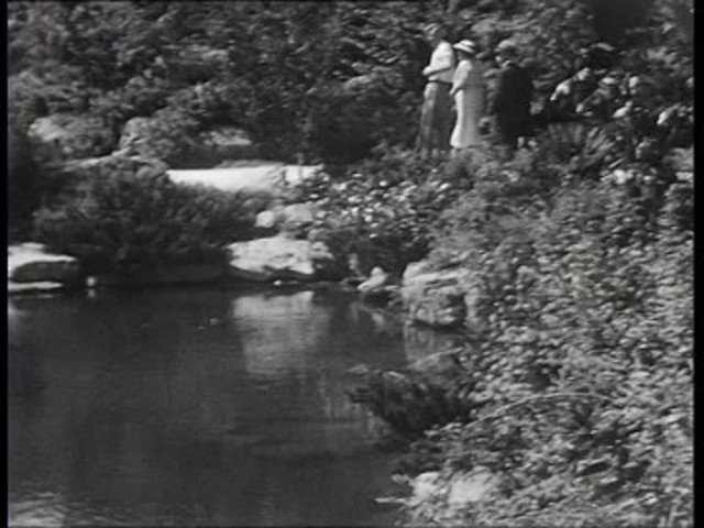 Inicia la exploración