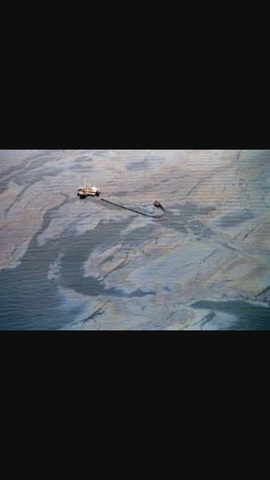 Exxon Valdez