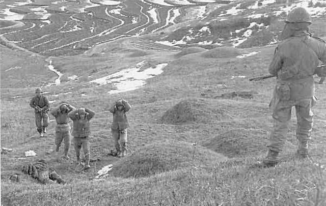 Operation Killer begun.