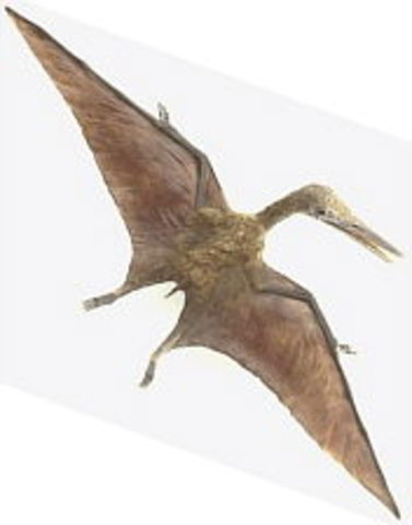 El Mesozoico: Jurásico