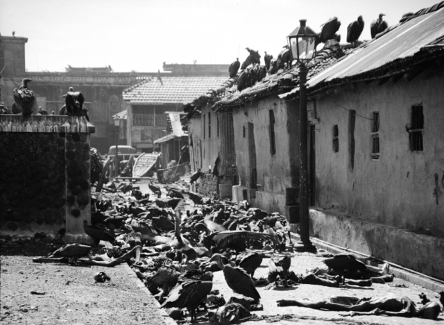 Calcutta Riots