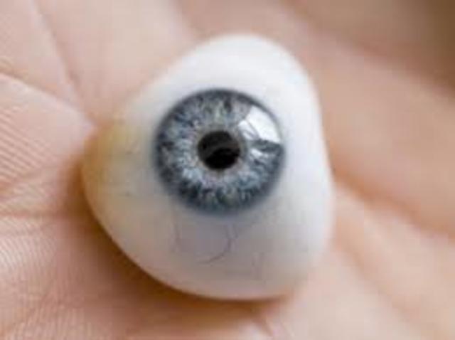 artificial eye