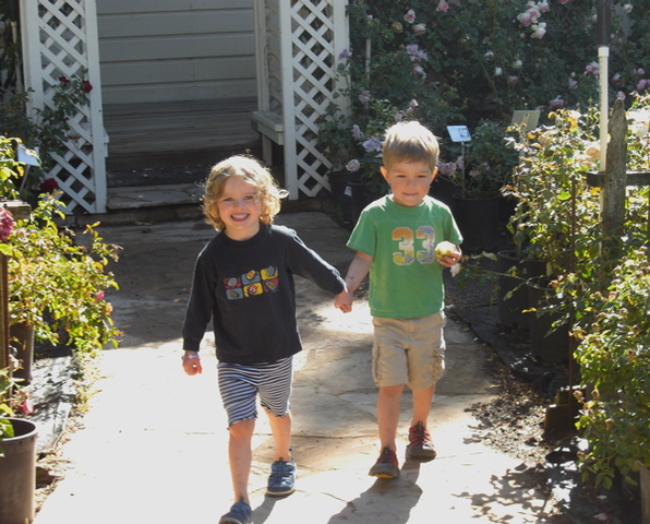 4 Years: Social/Emotional