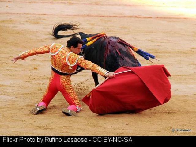 PP devuelve los toros a Sarria