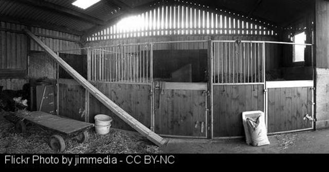 Un accidente laboral nunha porroquia do concello de Sarria lévase a vida dun traballador ao precipitarse dende o tellado dunha nave agricola.