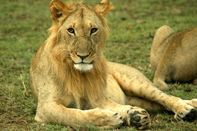 African Safari Day 2