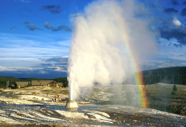 Yellowstone Geyser