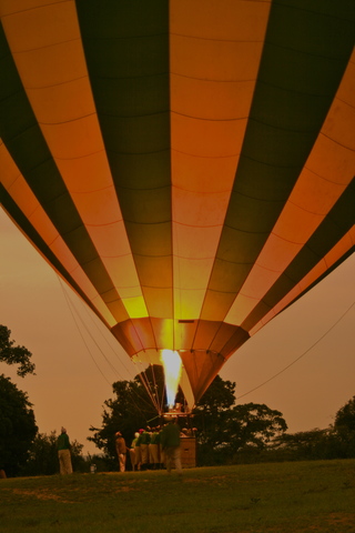 African Safari Day 4