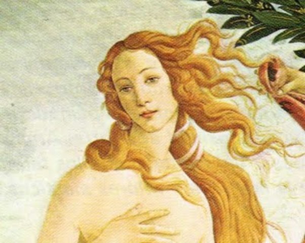 "Soneto XXIII" En tanto que de rosa y azucena