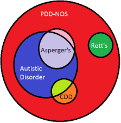 PDD NOS y Sindrome de Asperger