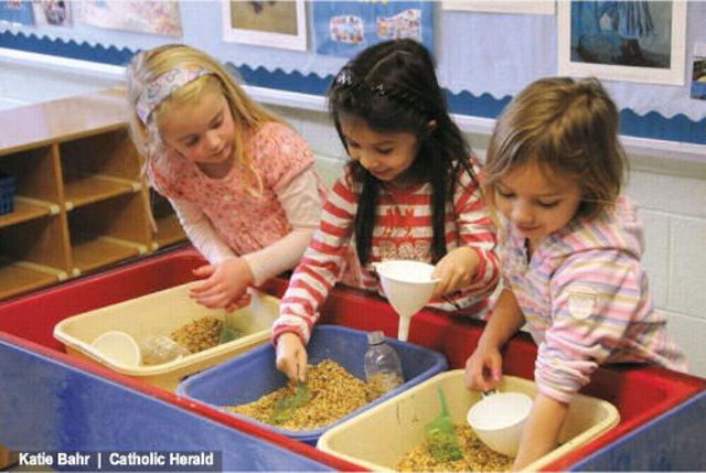 social/emotional development