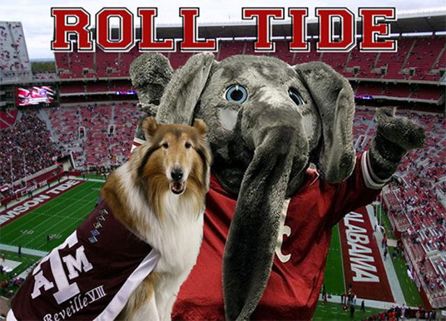 Went to Alabama vs. Texas A&M football game