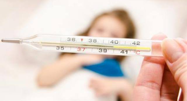 se reportaron brotes en