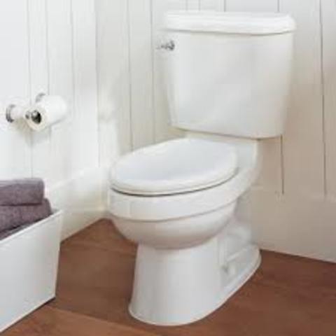 Invention of the Flushing Toilet