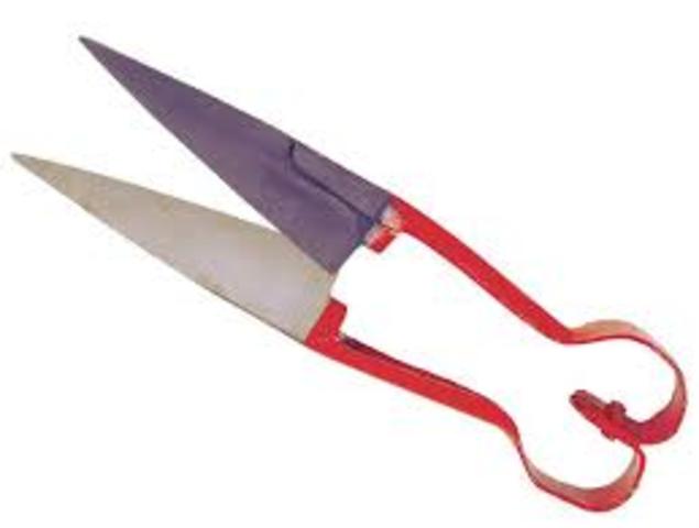 Invention of sheep shears