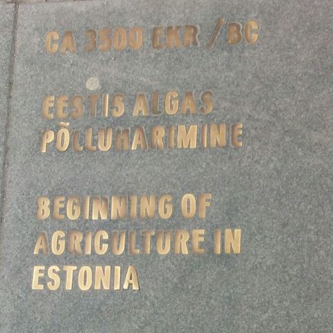 Eestis algas põlluharimine CA 3500 EKR/BC