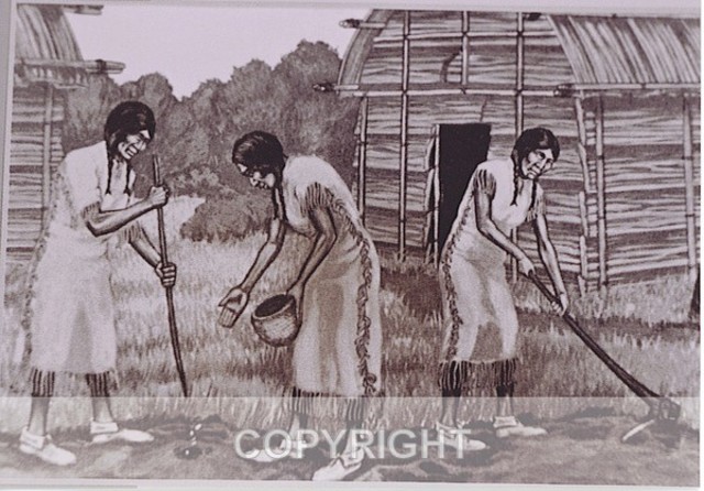 First Nations Role Of Women