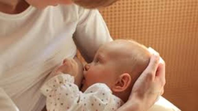 Lactancia y primera infancia