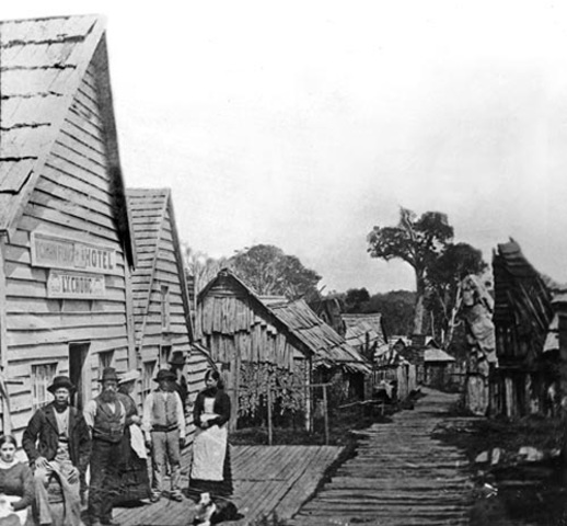 Immigration review permitted Chinese with professional qualifications to come to New Zealand