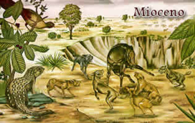 Periodo Mioceno