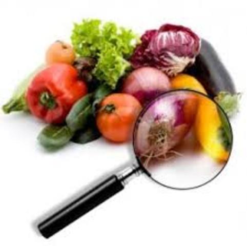Microbiología en los alimentos