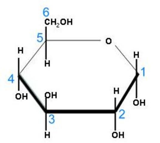 Segunda mitad del siglo XX