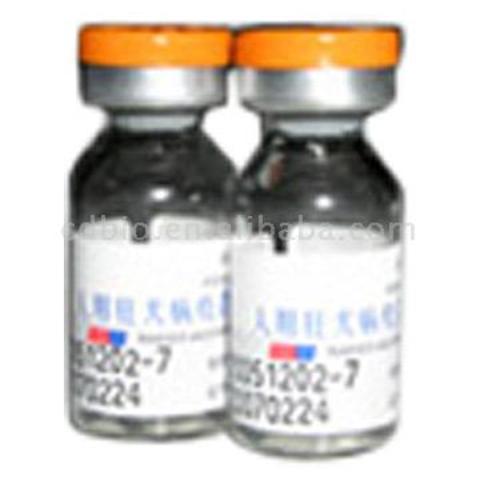 First vaccine for rabbies.