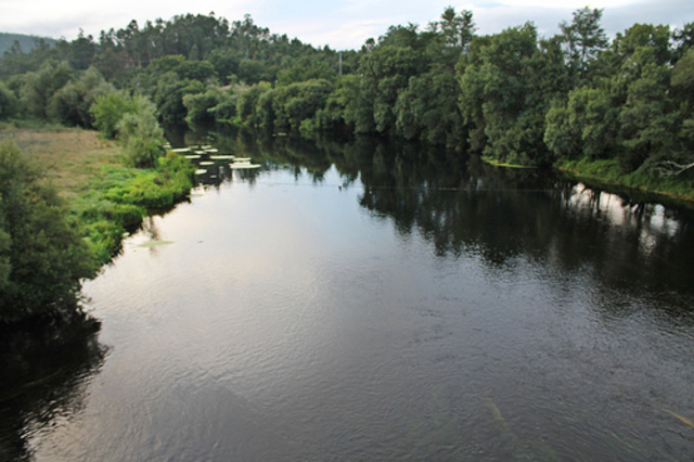 La Plataforma polo Río armó el belén