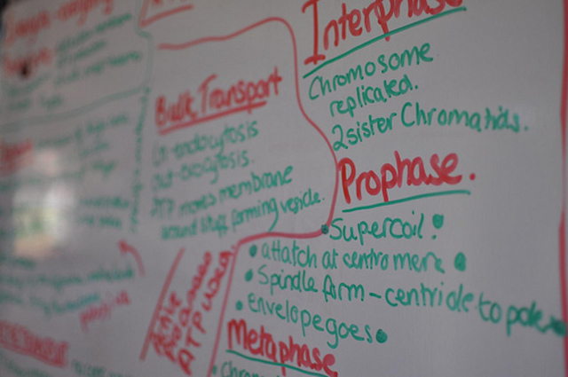Duas alumnas do instituto Xograr Afonso Gómez de Sarria participarán na Olimpiada Galega de Bioloxía.