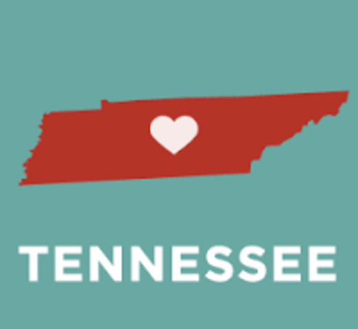 Went to tennessee for the first time