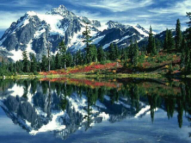 Satrapi moves to Viene, Austria