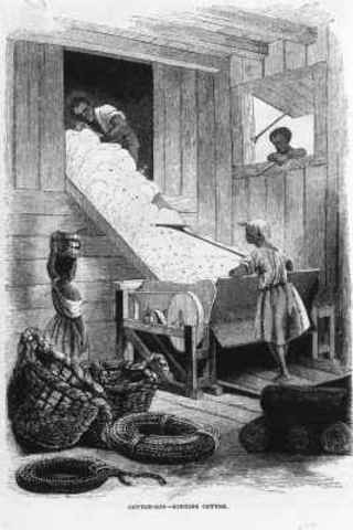 cotton gin - nnasydia, steven, taneya