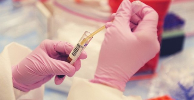 First Reasearch Grant